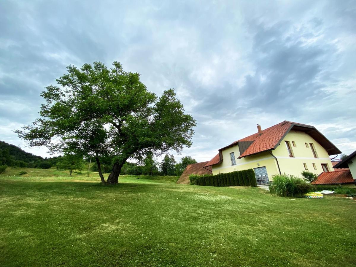 Guesthouse Mesec Zaplana Vrhnika Exterior photo